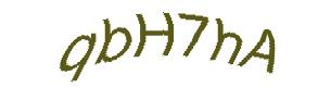 عبارت امنیتی