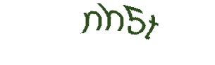 عبارت امنیتی