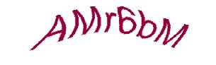 عبارت امنیتی