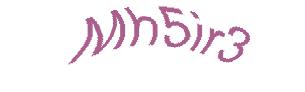 عبارت امنیتی