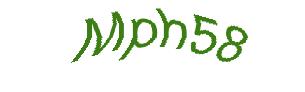 عبارت امنیتی