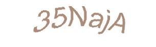 عبارت امنیتی