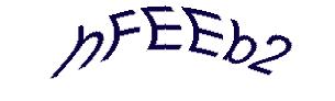 عبارت امنیتی
