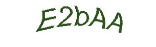 عبارت امنیتی