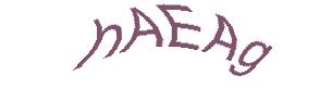 عبارت امنیتی
