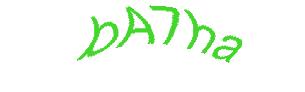 عبارت امنیتی