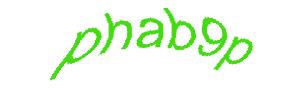 عبارت امنیتی
