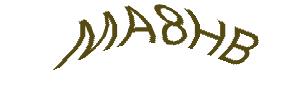 عبارت امنیتی