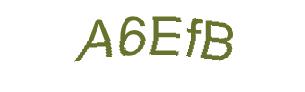 عبارت امنیتی