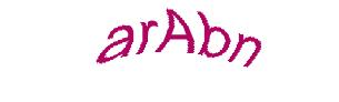 عبارت امنیتی