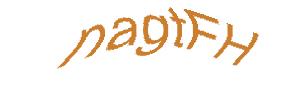 عبارت امنیتی