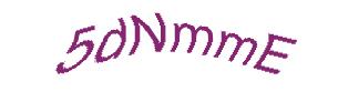 عبارت امنیتی