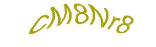 عبارت امنیتی