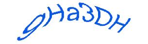 عبارت امنیتی