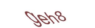 عبارت امنیتی