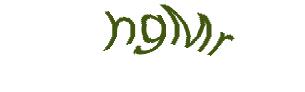 عبارت امنیتی
