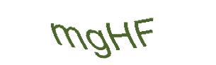 عبارت امنیتی