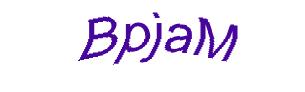 عبارت امنیتی
