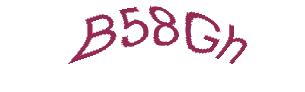 عبارت امنیتی