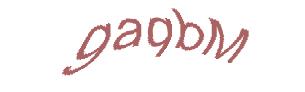 عبارت امنیتی