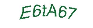 عبارت امنیتی