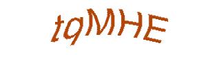 عبارت امنیتی