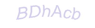 عبارت امنیتی