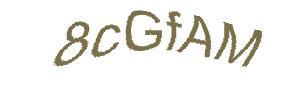 عبارت امنیتی