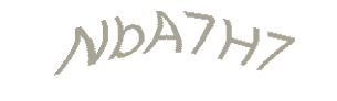 عبارت امنیتی