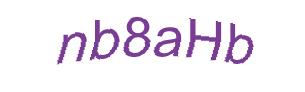 عبارت امنیتی