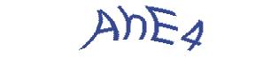 عبارت امنیتی
