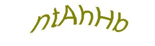 عبارت امنیتی