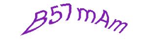 عبارت امنیتی