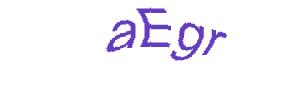 عبارت امنیتی