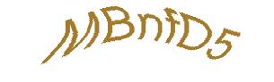 عبارت امنیتی