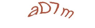 عبارت امنیتی