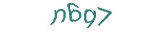 عبارت امنیتی