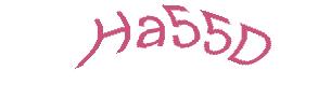 عبارت امنیتی