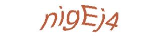 عبارت امنیتی