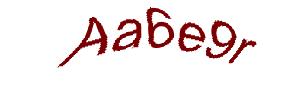 عبارت امنیتی