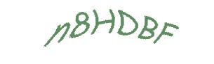 عبارت امنیتی