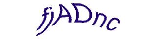 عبارت امنیتی