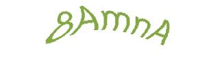 عبارت امنیتی