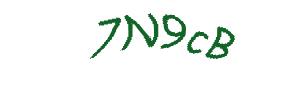 عبارت امنیتی