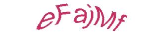 عبارت امنیتی