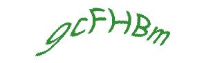 عبارت امنیتی