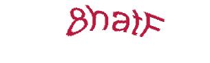 عبارت امنیتی