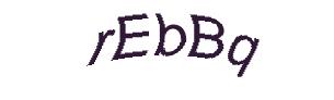 عبارت امنیتی
