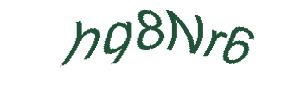 عبارت امنیتی