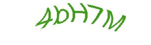 عبارت امنیتی